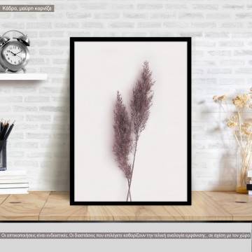 Dried reeds I, κάδρο, μαύρη κορνίζα