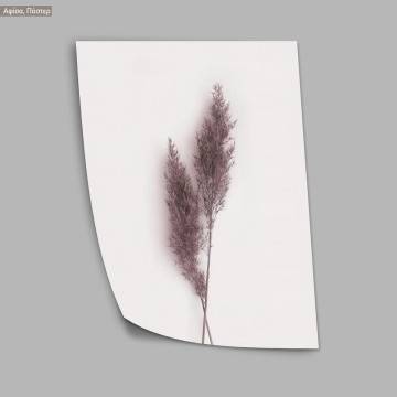 Dried reeds I, κάδρο, μαύρη κορνίζα 2