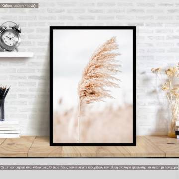 Dried reeds I, poster