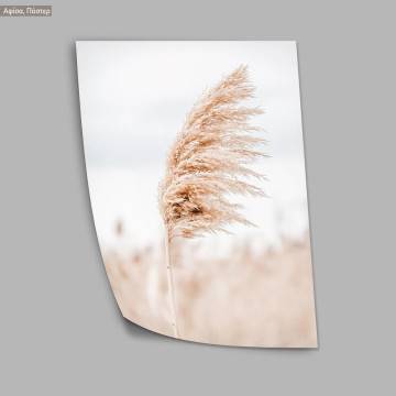 Dried reeds I, poster 2