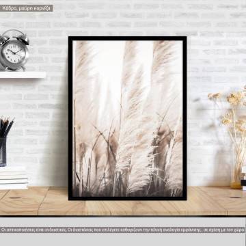 Dried reeds I, poster