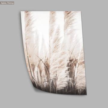 Dried reeds I, poster 2