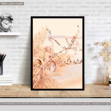 Dried reeds I, poster