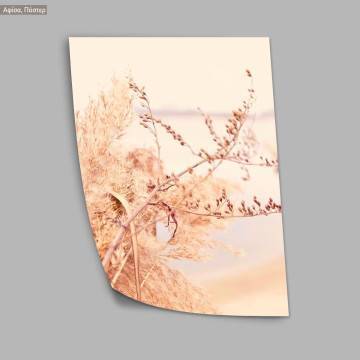 Dried reeds VI, κάδρο, μαύρη κορνίζα 2