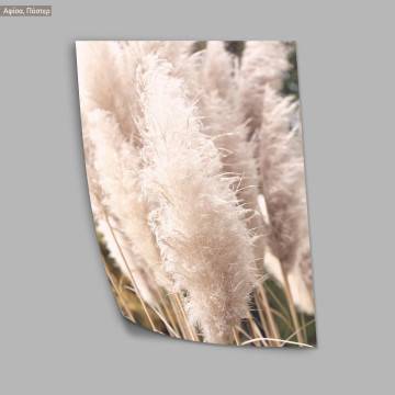 Dried reeds VIII, κάδρο, μαύρη κορνίζα 2