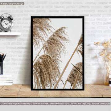 Dried reeds I, poster