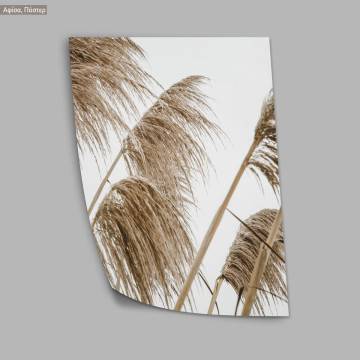 Dried reeds X, κάδρο, μαύρη κορνίζα 2