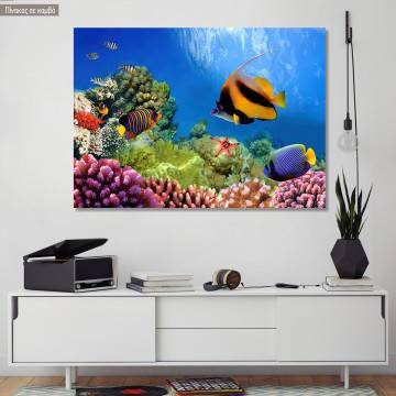 Πίνακας σε καμβά βυθός, Coral reef