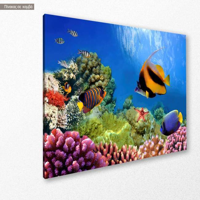 Canvas printCoral reef