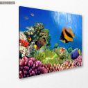 Canvas printCoral reef