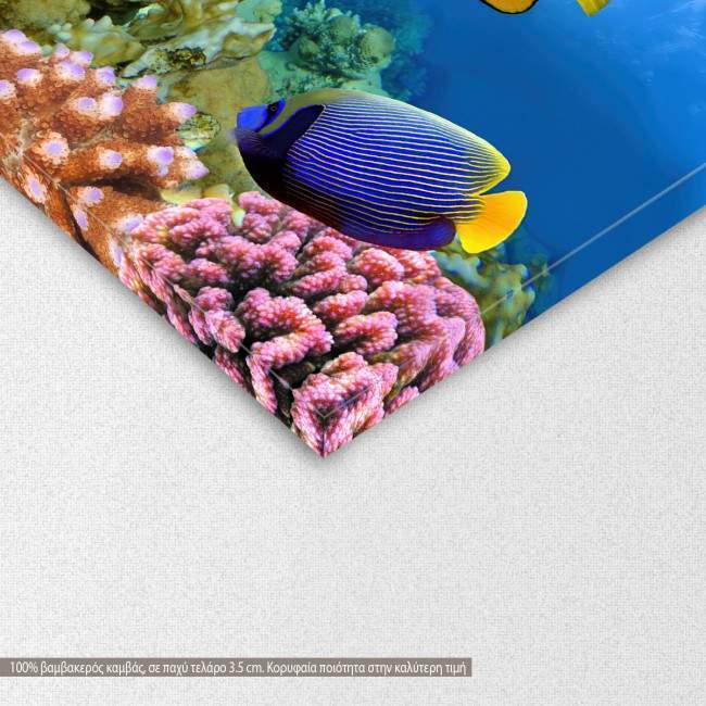 Πίνακας σε καμβά βυθός, Coral reef, λεπτομέρεια