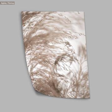 Reeds III, κάδρο, μαύρη κορνίζα 2