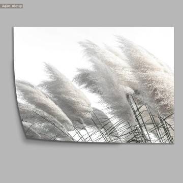 Reeds V, κάδρο, μαύρη κορνίζα 2