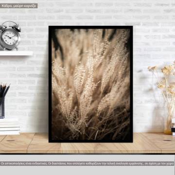 Reeds VIII, κάδρο, μαύρη κορνίζα