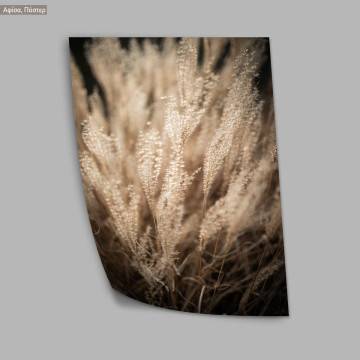 Reeds VIII, poster 2