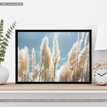 Reeds VII, κάδρο, μαύρη κορνίζα