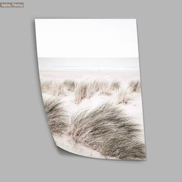 Reeds IX, κάδρο, μαύρη κορνίζα 2