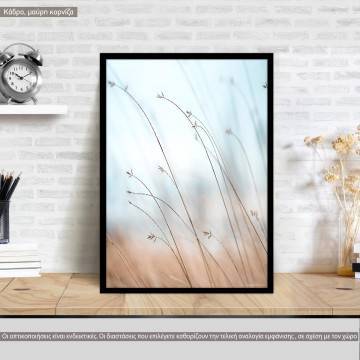 Reeds X, κάδρο, μαύρη κορνίζα