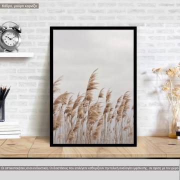 Reeds XII, κάδρο, μαύρη κορνίζα