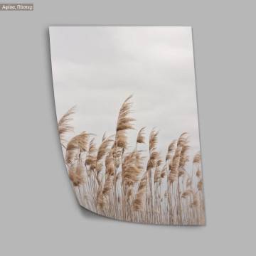 Reeds XII, κάδρο, μαύρη κορνίζα 2