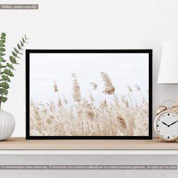 Reeds XVI, κάδρο, μαύρη κορνίζα