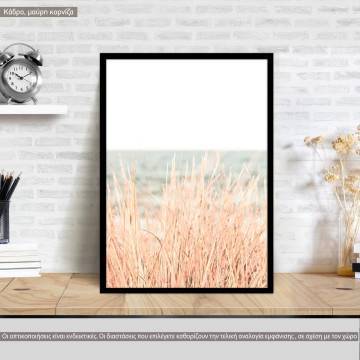 Dried reeds, poster