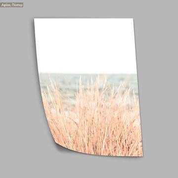 Dried reeds, poster 2