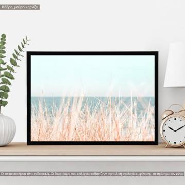 Dried reeds, turquoise sea II, κάδρο, μαύρη κορνίζα