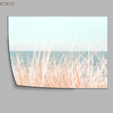 Dried reeds, poster 2