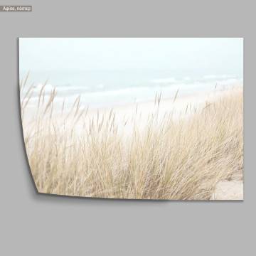 Dried reeds, poster 2