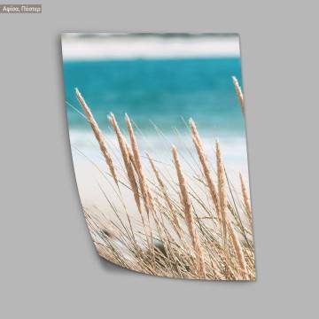 Dried reeds, turquoise sea V, κάδρο, μαύρη κορνίζα 2