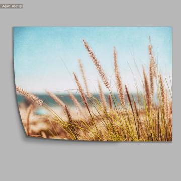 Dried reeds, poster 2