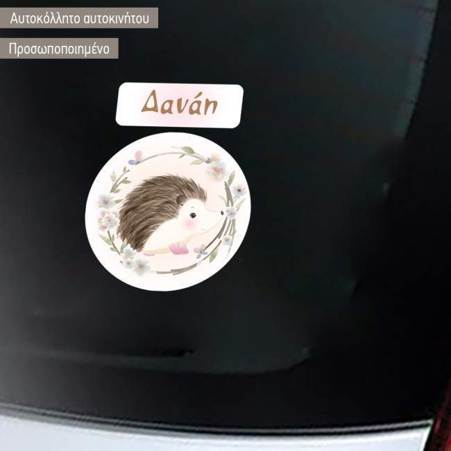 Baby car sticker watercolor baby Hedgehog personalized