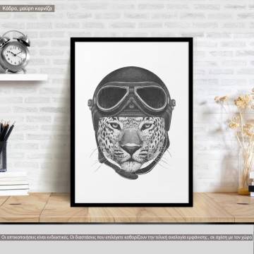Leopard rider, poster