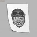 Leopard rider, poster