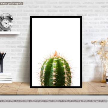 A cactus, κάδρο, μαύρη κορνίζα