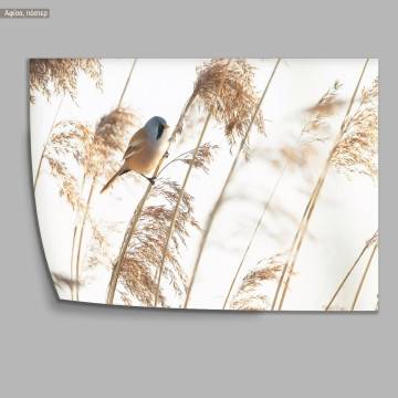 Bird with reeds, poster 2