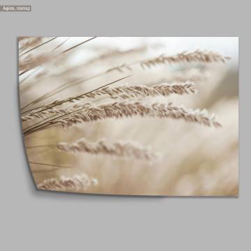 Grains, κάδρο, μαύρη κορνίζα 2