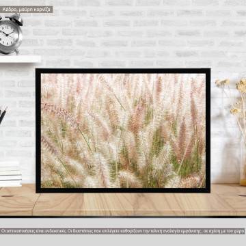 Needlegrass, poster
