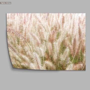 Needlegrass, κάδρο, μαύρη κορνίζα 2