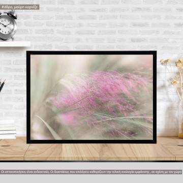 Purple reeeds, poster