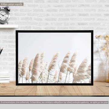 Reeds in the wind, poster