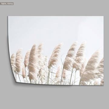 Reeds in the wind, κάδρο, μαύρη κορνίζα 2