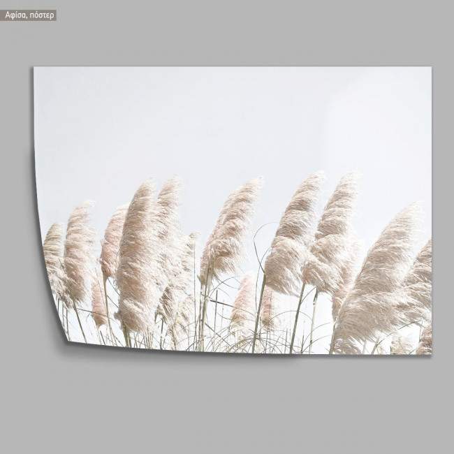 Reeds in the wind, αφίσα, πόστερ