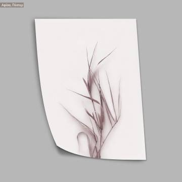 Dried reeds XI, poster 2