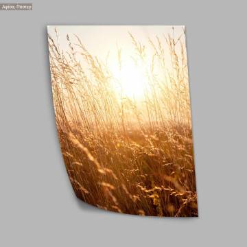 Reeds in sunset, κάδρο, μαύρη κορνίζα 2