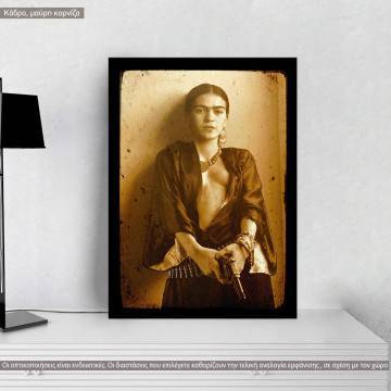 Frida's got a gun, poster