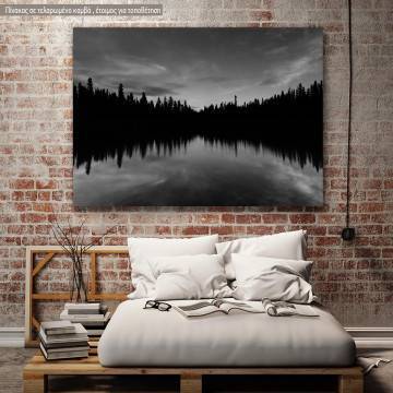 Πίνακας σε καμβά Dark tree lake