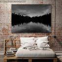 Canvas print Dark tree lake