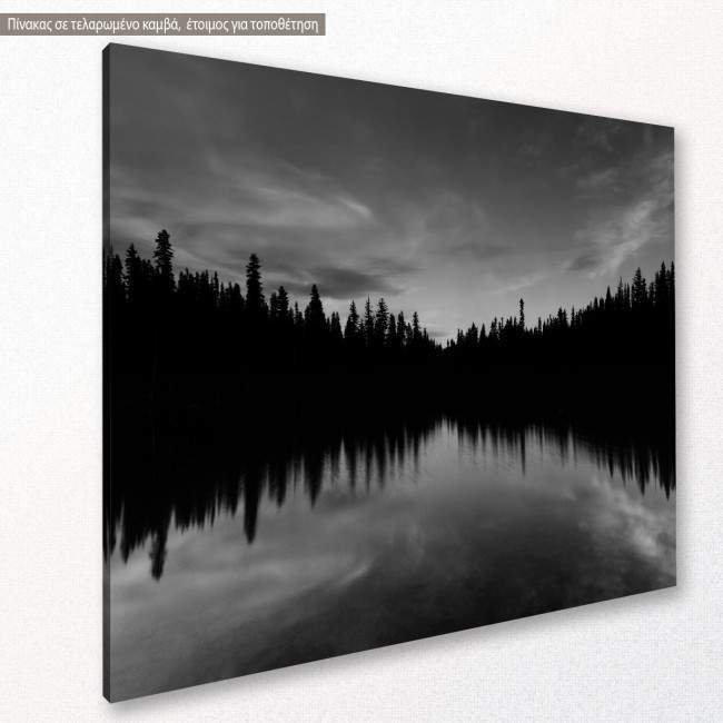 Canvas print Dark tree lake